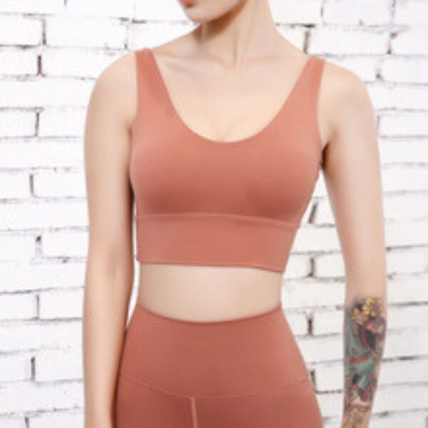 New Push-up Shockproof Deep V Beautiful Back Yoga Sports Bra for Women European and American Style Running Fitness Sports Bra - Image 2